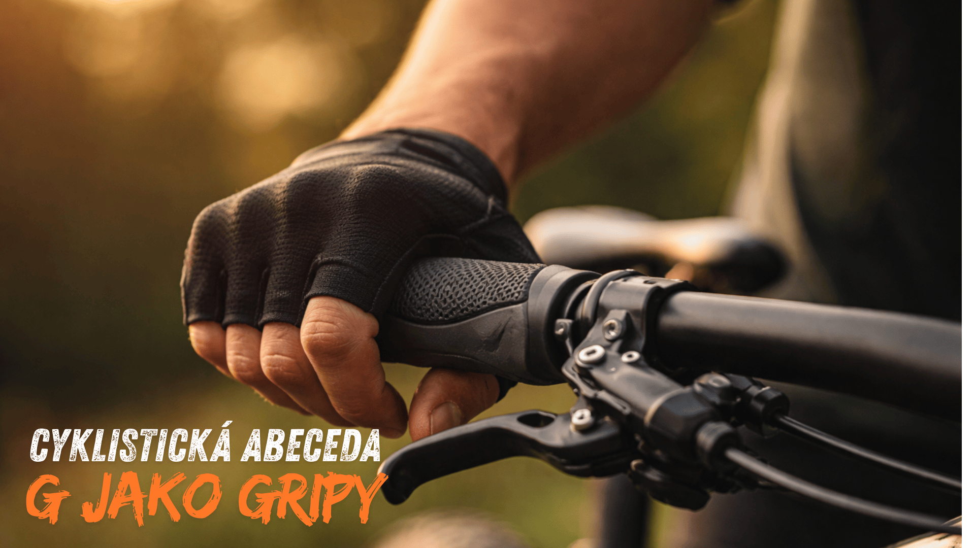 🧩 CYKLISTICKÁ ABECEDA B JAKO BIDON Perex Bez něj to prostě nejde. Na kole, v kapse, v košíku – bidon je tichý hrdina každé jízdy. Nezáří jako rám, nehučí jako náboje, ale bez něj by i ten nejlepš